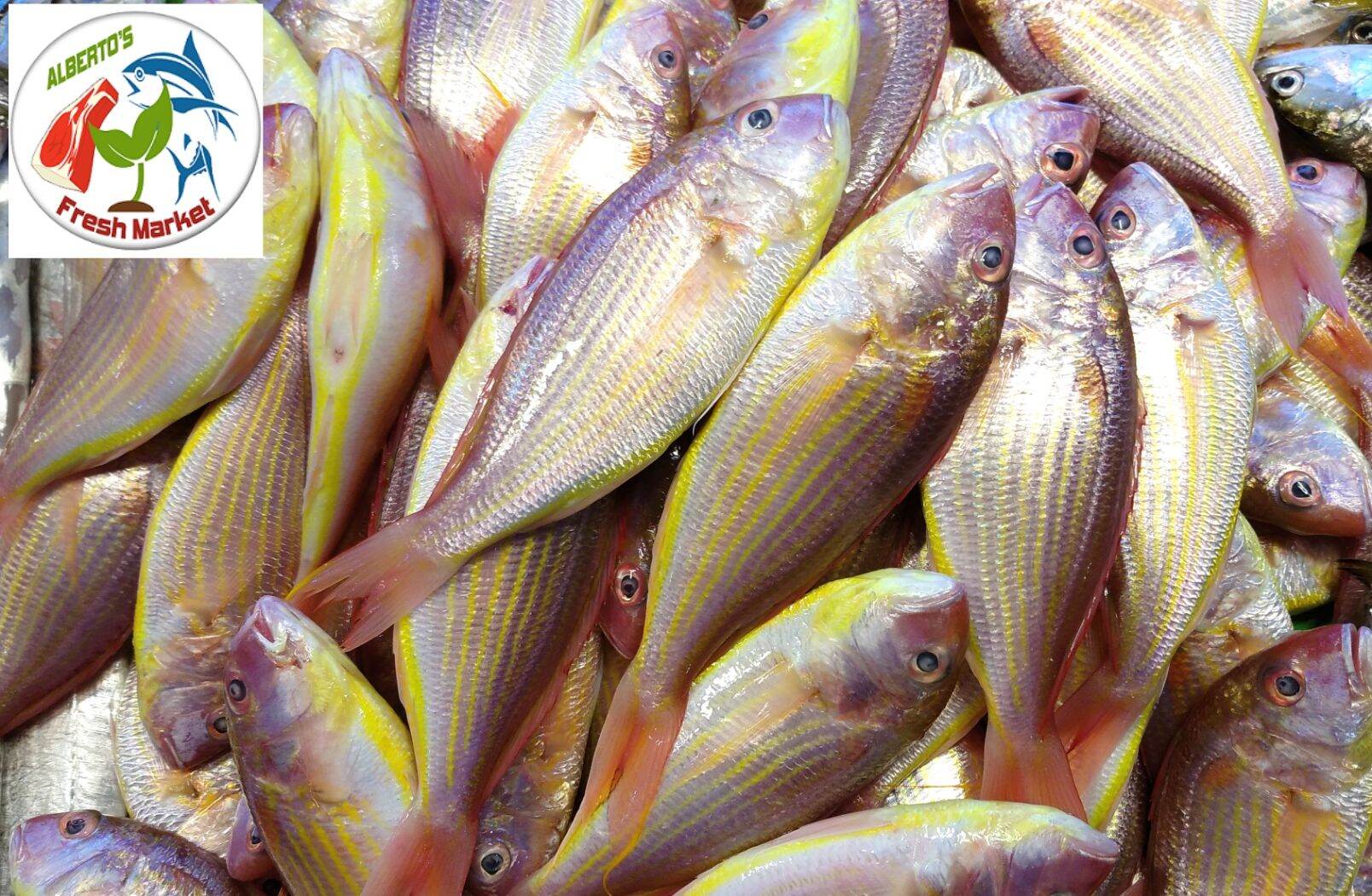 fresh-bisugo-fish-1-2kg-lazada-ph