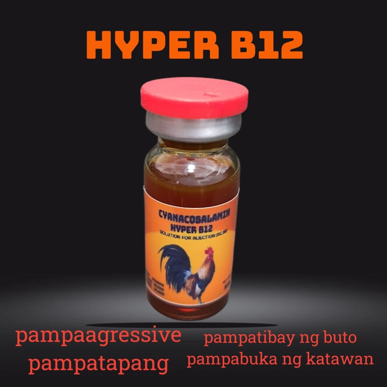 hyper b12 cyanacobalamin 10ml | Lazada PH