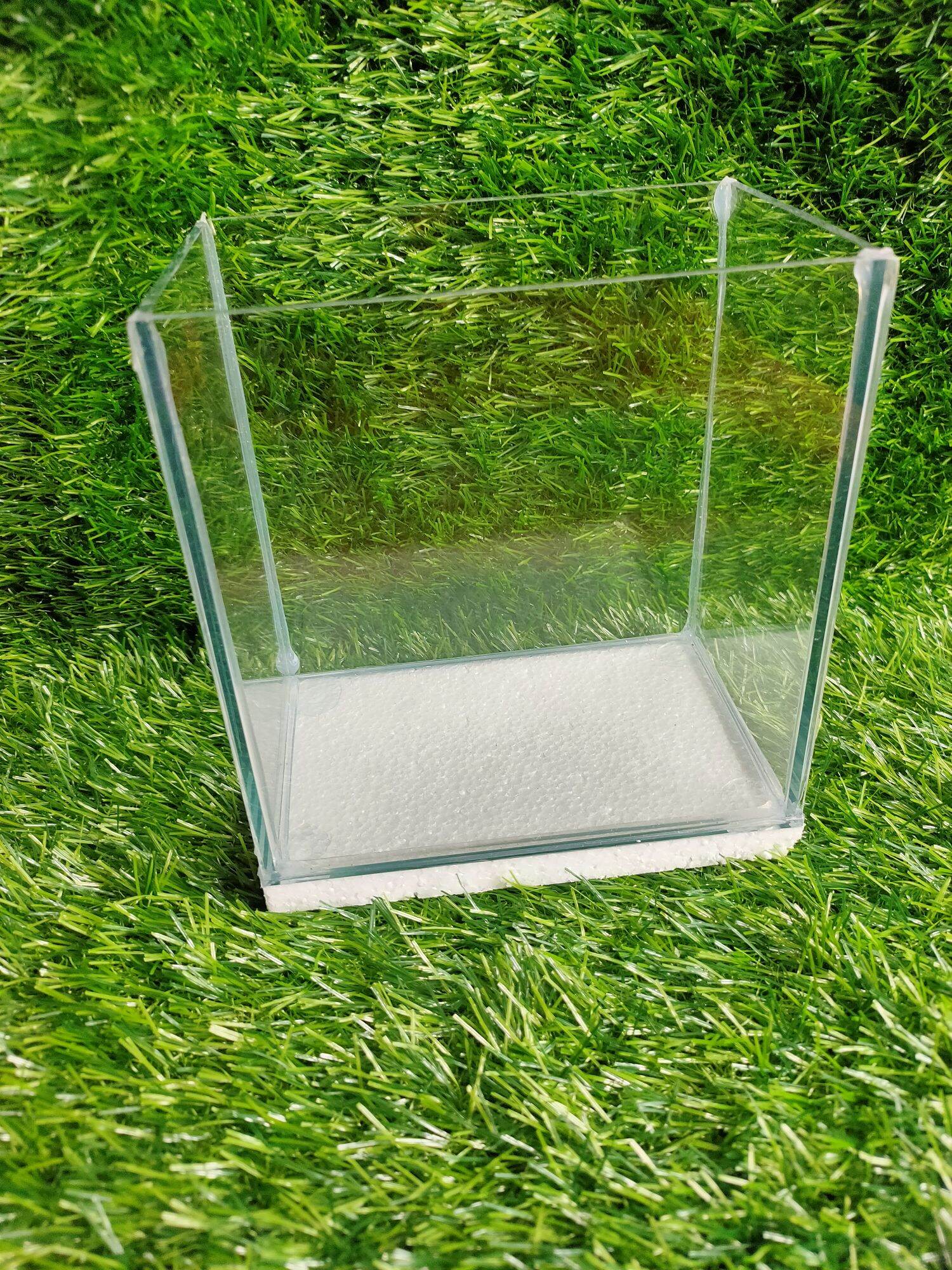 BETTA TANK GLASS FOR YOUR BETTA FISH 6*4*6 INCHES Lazada PH