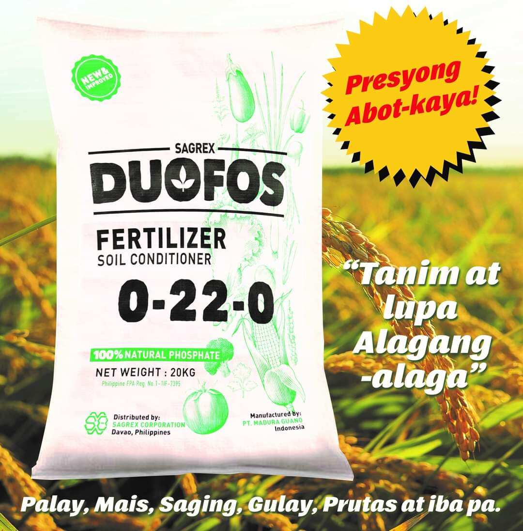 Duofos Fertilizer 100 Natural Soil Conditioner 20 Kilos Lazada PH duofos-fertilizer-100-natural-soil-conditioner-20-kilos-lazada-ph