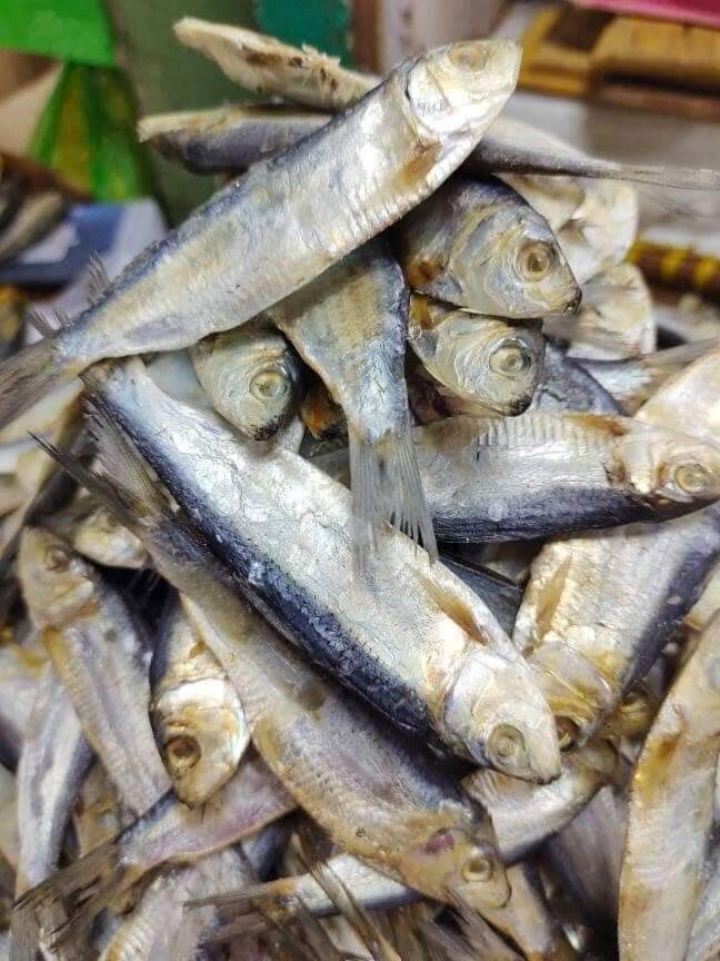 Tamban Tuyo Dried Fish 1/2 Kilo | Lazada PH