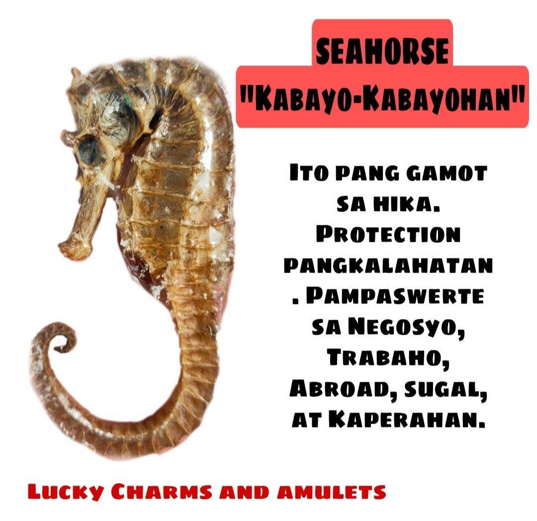 seahorse mattress lazada