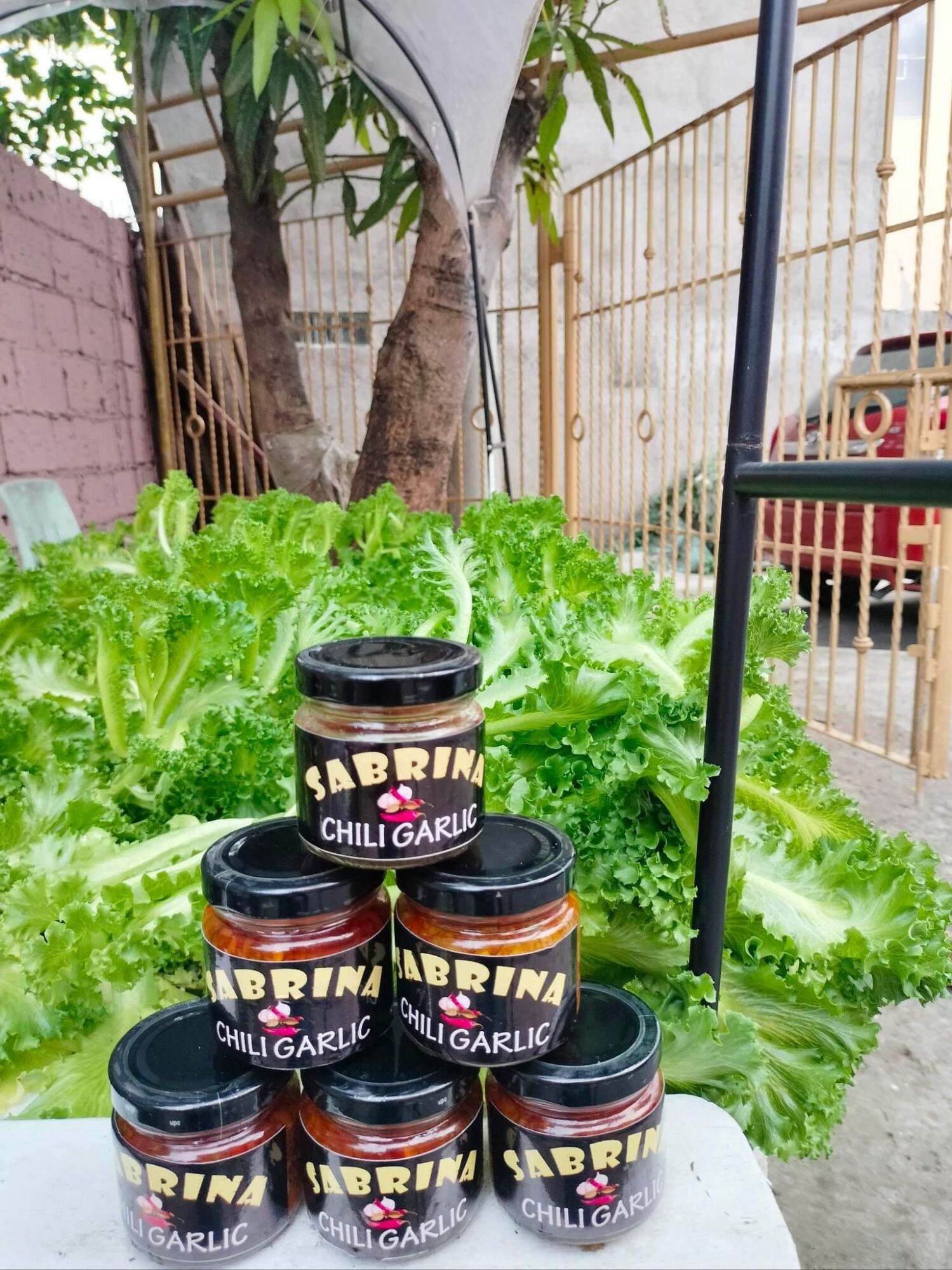 Chili Garlic Oil and Bagoong Alamang 120ml Lazada PH